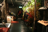 お祝いスナップ!! ＠nano・universe GROUNDFLOOR SHIBUYA