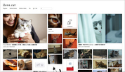 猫好き必見！ 猫×クリエイターのWEBマガジン「ilove.cat」スタート！