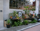 vendorが「植物」をテーマに掲げ、面白い企画をスタートです。
