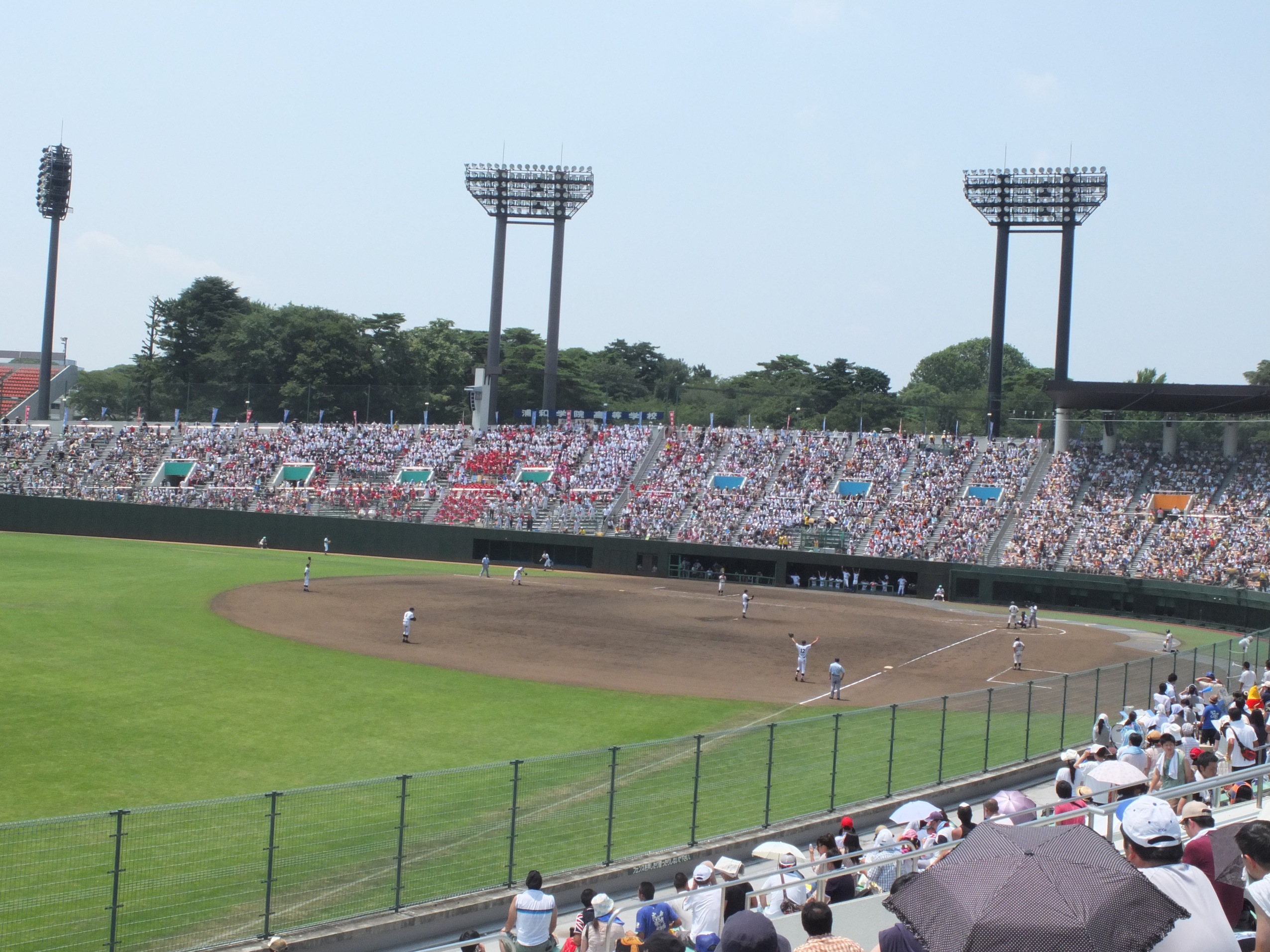 http://www.houyhnhnm.jp/blog/abe/images/DSCF0442.JPG