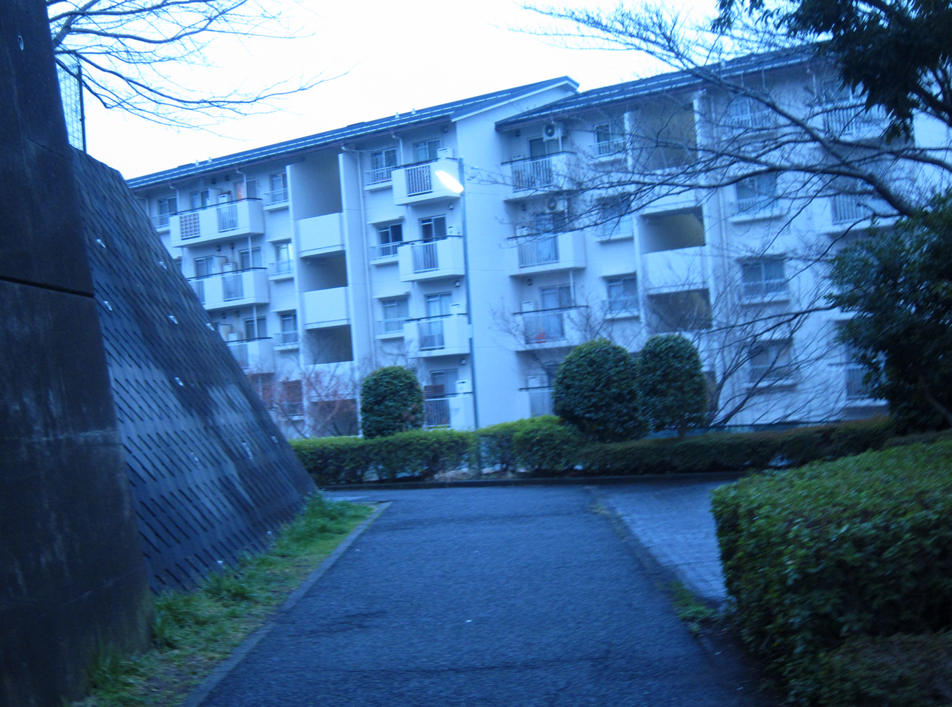 http://www.houyhnhnm.jp/blog/daifu/images/111.jpg