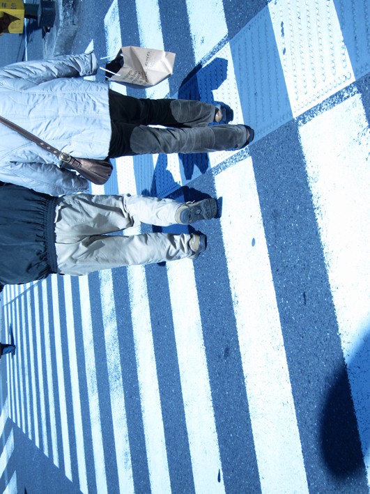 http://www.houyhnhnm.jp/blog/daifu/images/333333333.jpg