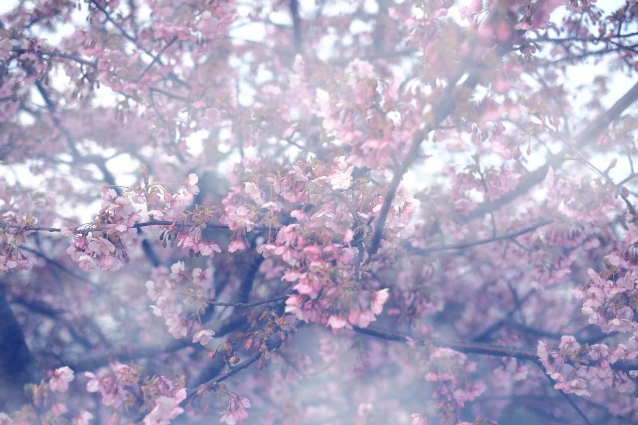 http://www.houyhnhnm.jp/blog/edward_chiu/2013/03/12/images/thankyou.jpg