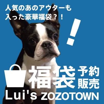 http://www.houyhnhnm.jp/blog/endo/images/1497698_454028464703596_285612581_n.jpg