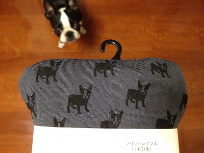 http://www.houyhnhnm.jp/blog/endo/images/IMG_5868.jpg