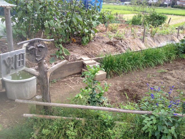 http://www.houyhnhnm.jp/blog/endo/images/hatake.jpeg