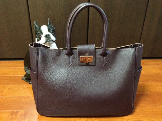 http://www.houyhnhnm.jp/blog/endo/images/ita2.jpg