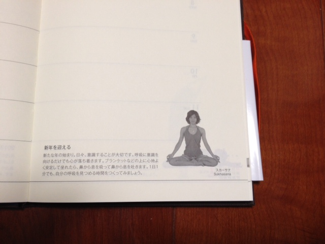 http://www.houyhnhnm.jp/blog/endo/images/t2.jpeg
