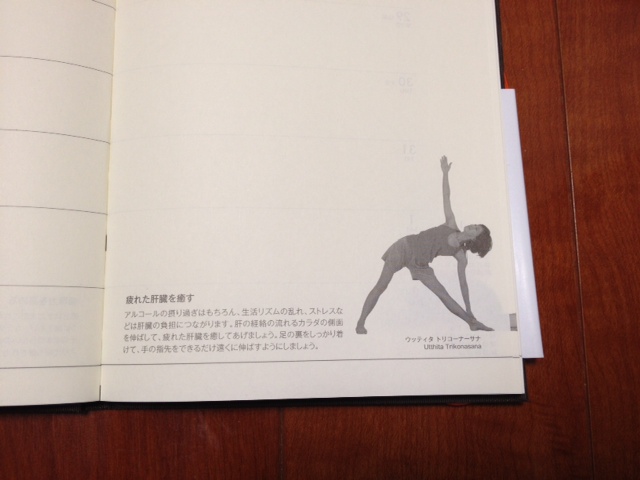 http://www.houyhnhnm.jp/blog/endo/images/t3.jpeg