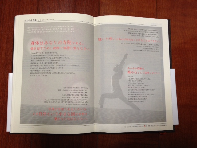 http://www.houyhnhnm.jp/blog/endo/images/t5.jpeg