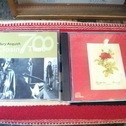 入荷のその後のつづきです~♪
