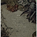 bukht 2012 Spring & Summer Debut Collection