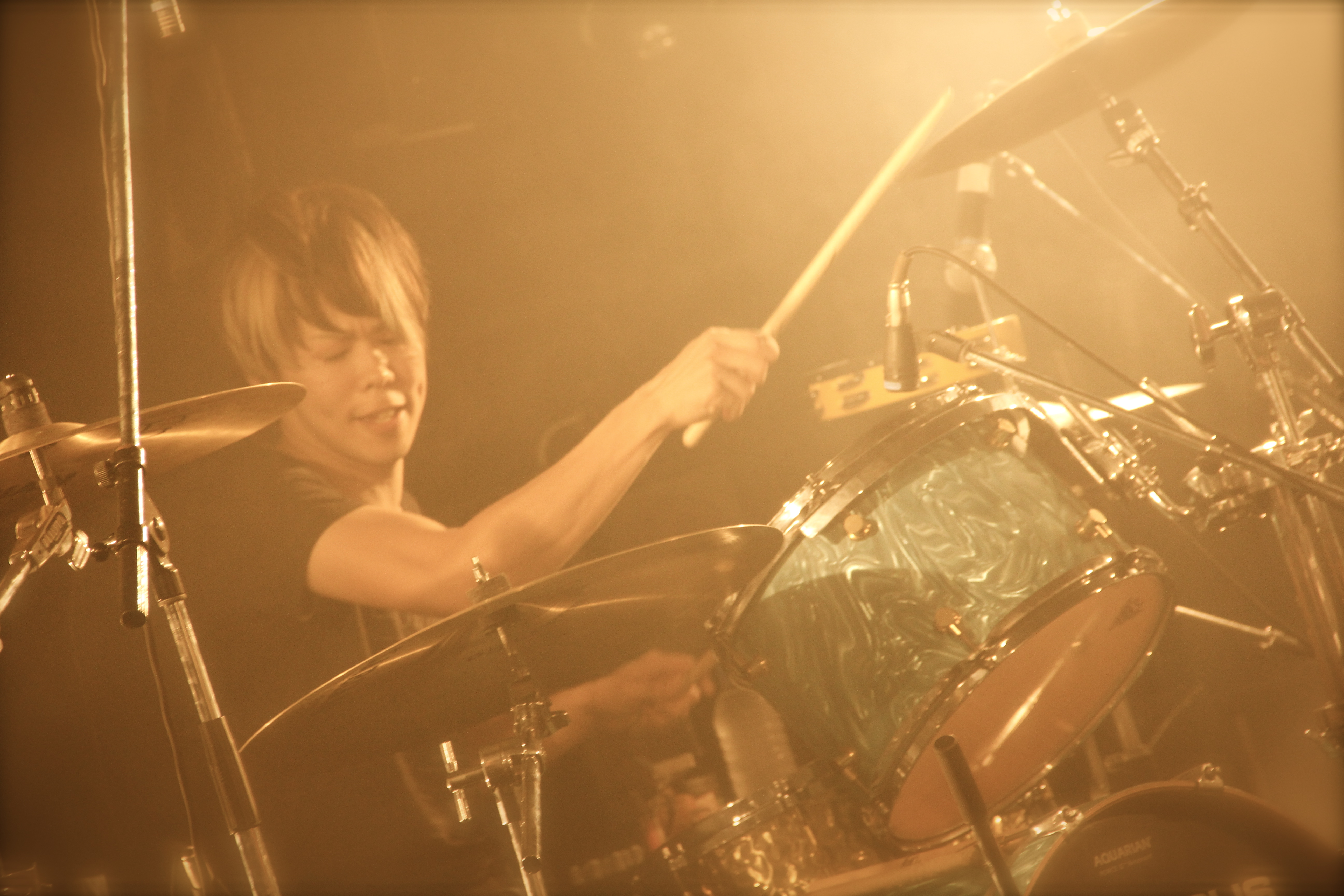 http://www.houyhnhnm.jp/blog/hiroyama/images/IMG_6235.JPG