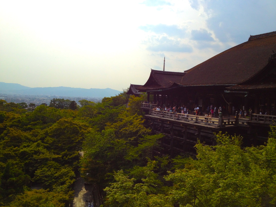 http://www.houyhnhnm.jp/blog/hiroyama/images/mxow.JPG