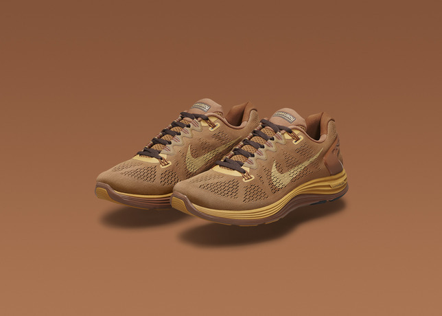 http://www.houyhnhnm.jp/blog/hynm_editor/images/Lunarglide-5_M_BRONZE_34-62406_large.jpeg