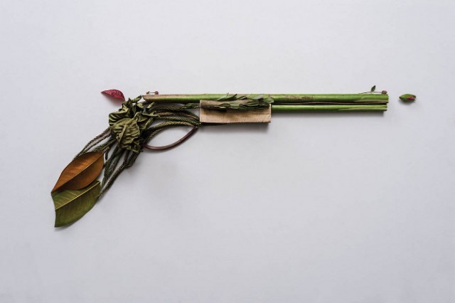 http://www.houyhnhnm.jp/blog/hynm_editor/images/Weapons-made-of-Plants8-640x426.jpg