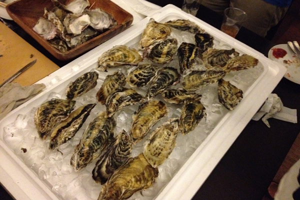 http://www.houyhnhnm.jp/blog/hynm_editor/images/kaki001.jpg
