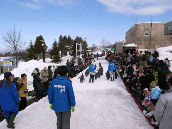 http://www.houyhnhnm.jp/blog/ishimitsu/images/hokkai34.jpg