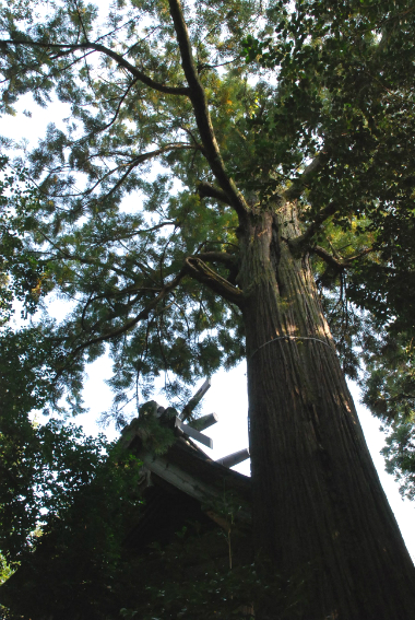 http://www.houyhnhnm.jp/blog/ishimitsu/images/izumo6.jpg