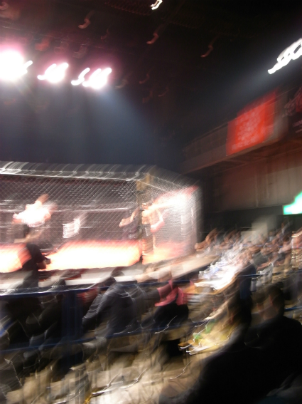 http://www.houyhnhnm.jp/blog/ishimitsu/images/mag2.jpg