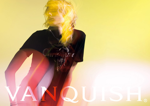 http://www.houyhnhnm.jp/blog/kamei/images/v8.jpg
