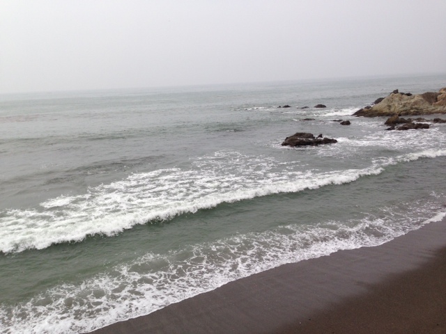 http://www.houyhnhnm.jp/blog/kawaguchi/images/UMI.JPG