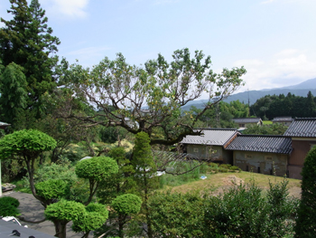 niwa.jpg