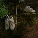 adidas Plants Exhibition