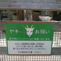 コギからお願い