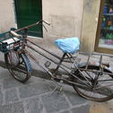 Firenze