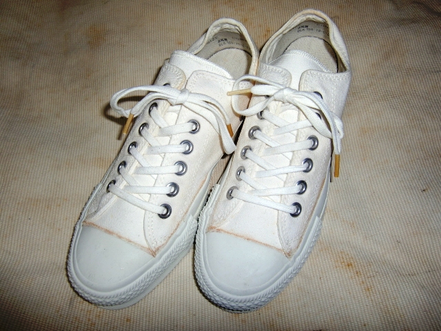 http://www.houyhnhnm.jp/blog/kurihara/images/CIMG1261.JPG
