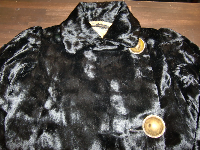 http://www.houyhnhnm.jp/blog/kurihara/images/CIMG5221.JPG