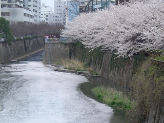 CIMG3439.jpg