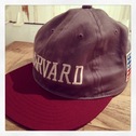 VOTE X HARVARD UNIVERSITY