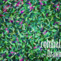 coluhalique個展 -Drawing-