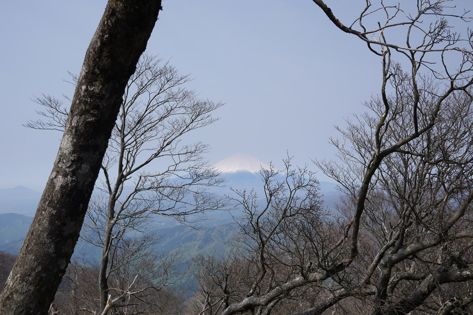 http://www.houyhnhnm.jp/blog/miyazawa/images/boramaru04.jpg