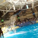 EPSON SHINAGAWA AQUA STADIUM