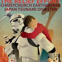 SUPPORT JAPAN TSUNAMI DISASTER