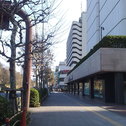 AKASAKA OFFICE 01/18/2012