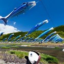 カシオ入間?いえカツオ人間。