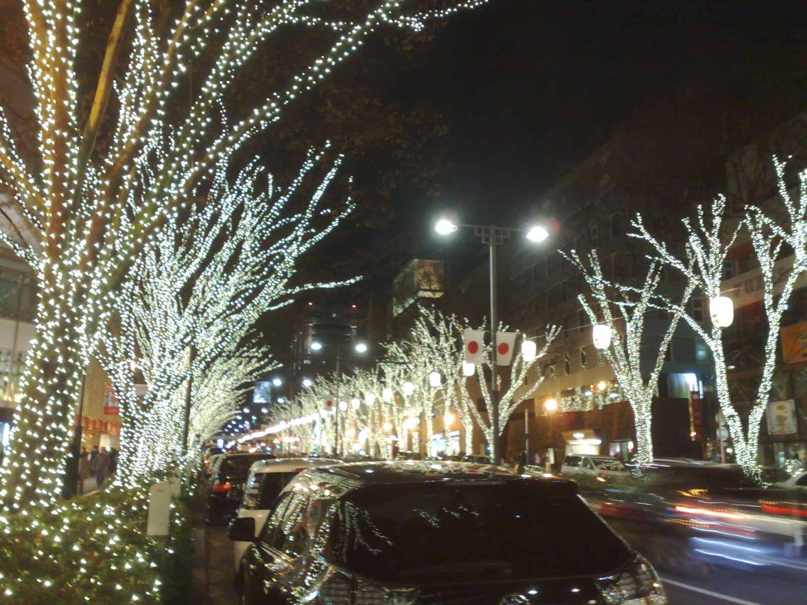 http://www.houyhnhnm.jp/blog/moriyama/images/01012012788.jpg