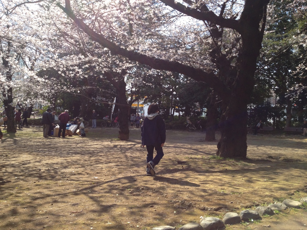 http://www.houyhnhnm.jp/blog/moriyama/images/IMG_0330.JPG