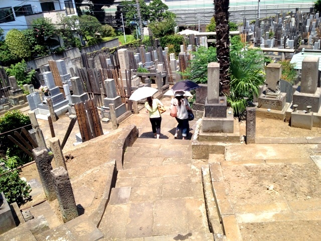 http://www.houyhnhnm.jp/blog/moriyama/images/IMG_5644.JPG