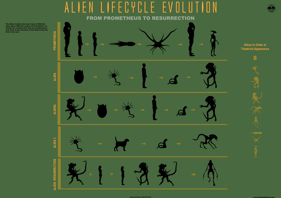 http://www.houyhnhnm.jp/blog/moriyama/images/alien_evo.jpg