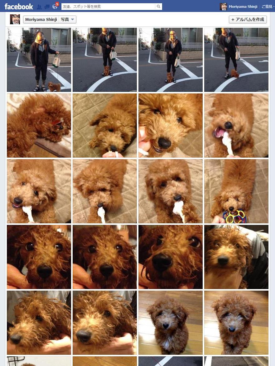 http://www.houyhnhnm.jp/blog/moriyama/images/facebook_jed_album_11_11.JPG