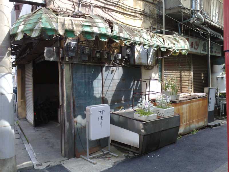 http://www.houyhnhnm.jp/blog/moriyama/images/jedi_0419201090.jpg
