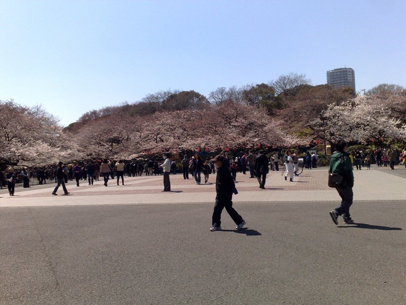 http://www.houyhnhnm.jp/blog/moriyama/images/jedi_05042011%20%2810%29.jpg