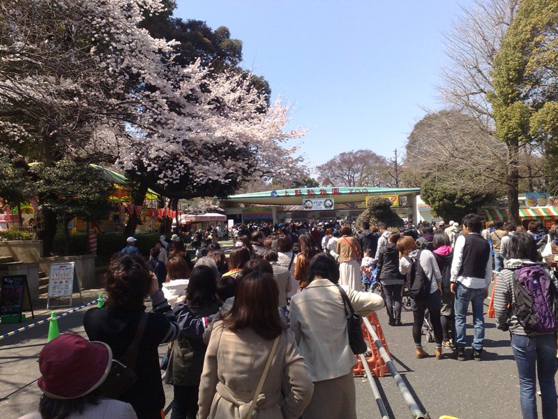 http://www.houyhnhnm.jp/blog/moriyama/images/jedi_05042011%20%2811%29.jpg