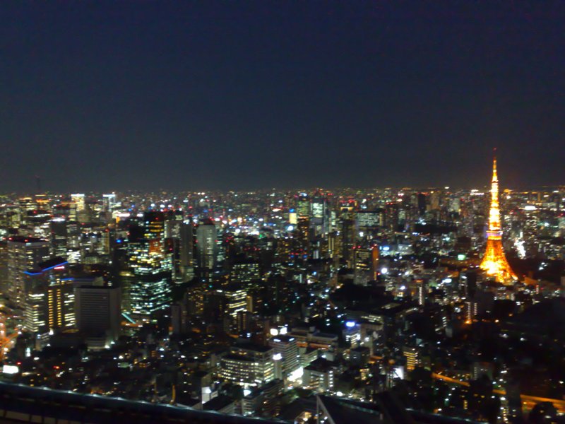 http://www.houyhnhnm.jp/blog/moriyama/images/jedi_06012010901%20-%20.jpg