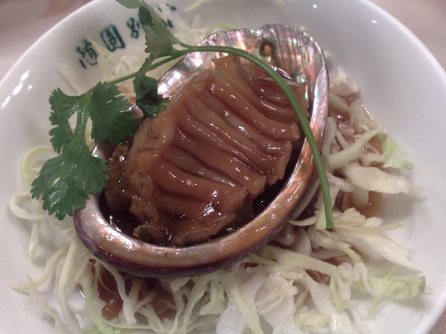 http://www.houyhnhnm.jp/blog/moriyama/images/jedi_12182009613.jpg